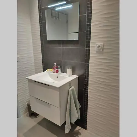 Rez De Neuf 6 Personnes, Jardin, Piscine בית נופש *